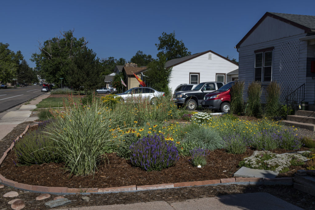 front yard with mulched garden, stone edging, and pathway