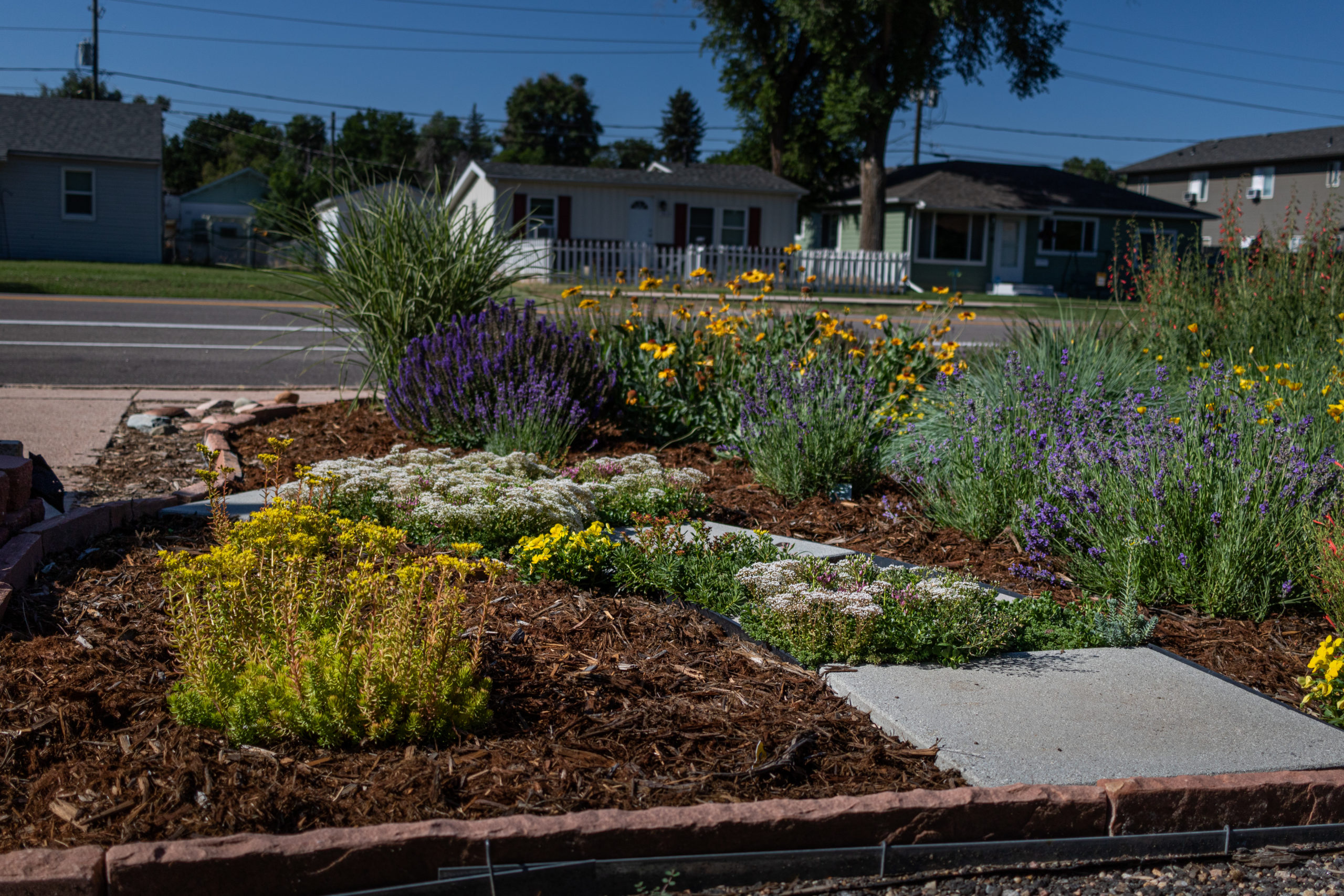 front yard with flowers, mulch, and pathway
