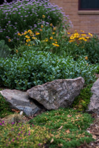 boulders in garden surrounded by green foliage