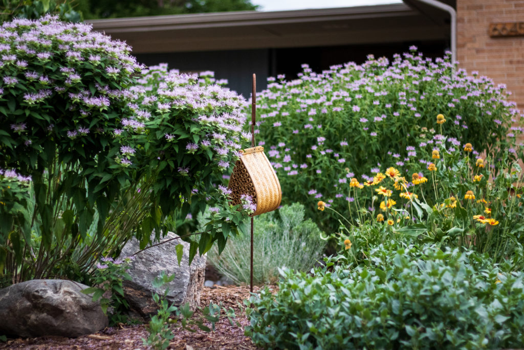 bee house in blooming garden with rocks and mulch