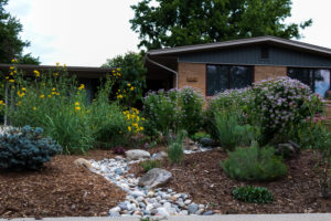 house with xeric front yard and rocky dry creekbed