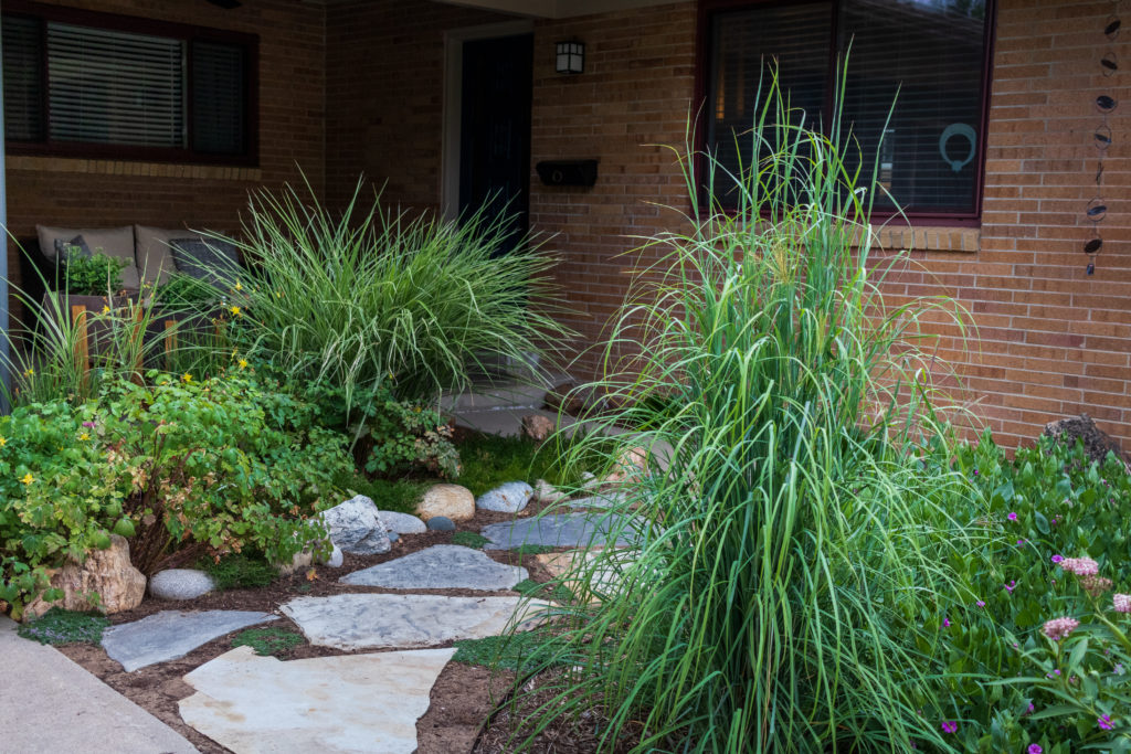 tall green grasses line a stone pathway in front of house