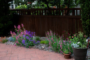 pink and purple flowers near brick patio