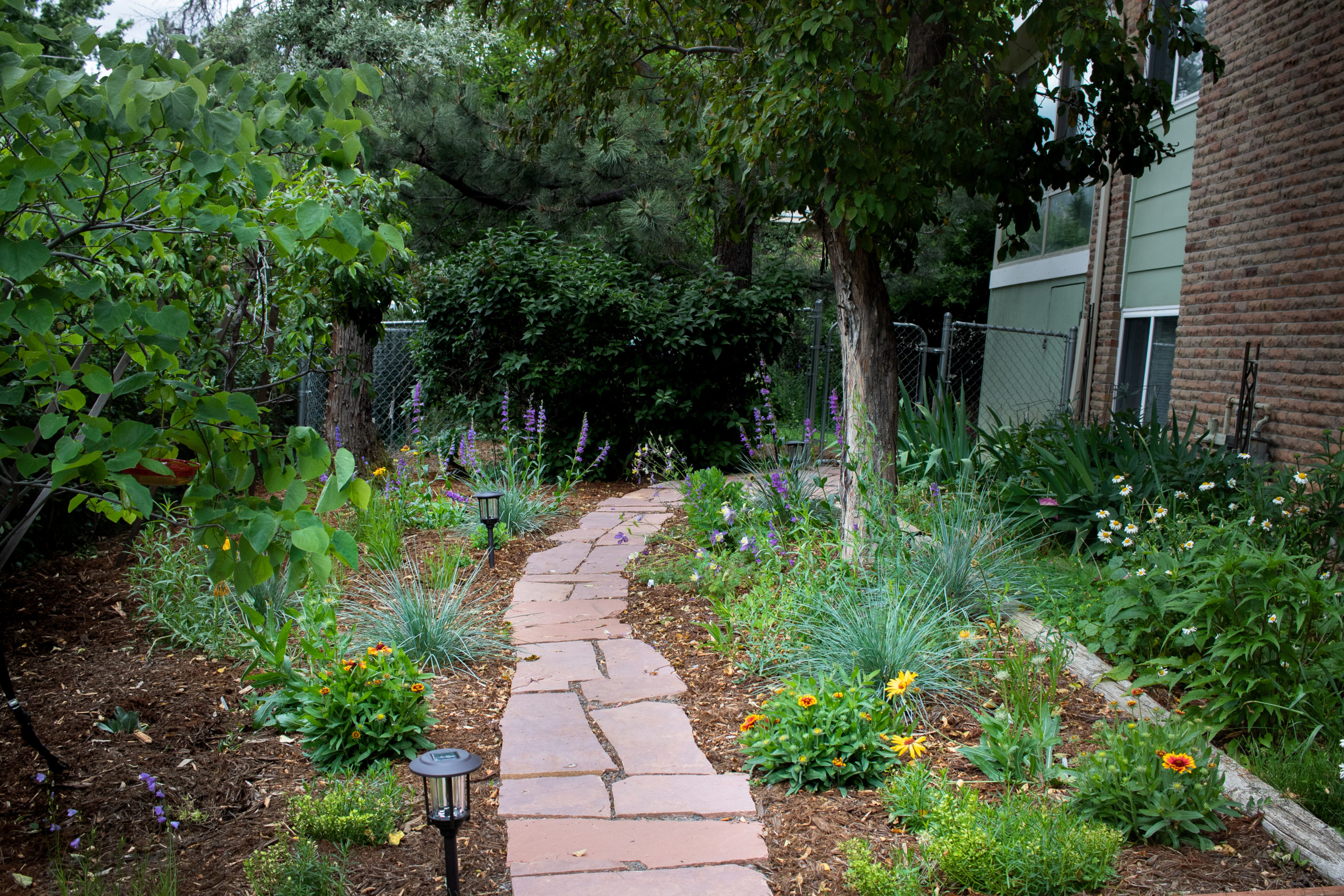 flagstone path running through mulched garden