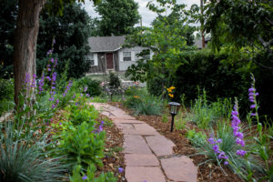 flagstone pathway through blooming garden