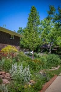 Blooming garden in side yard with house