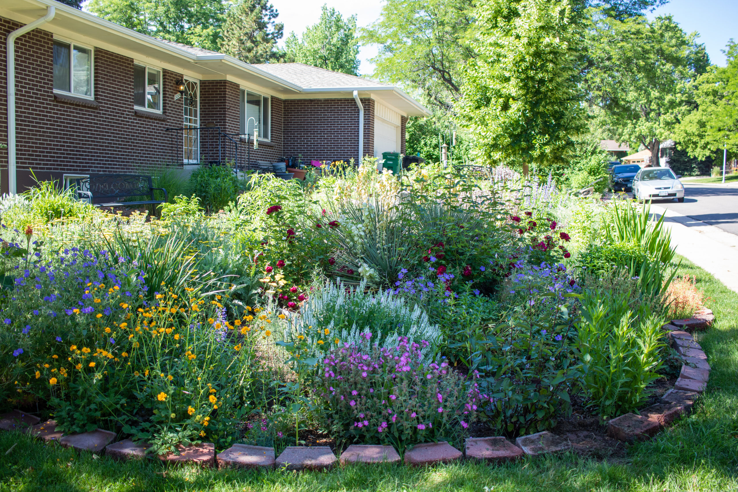 Blooming, full-grown garden in front yard