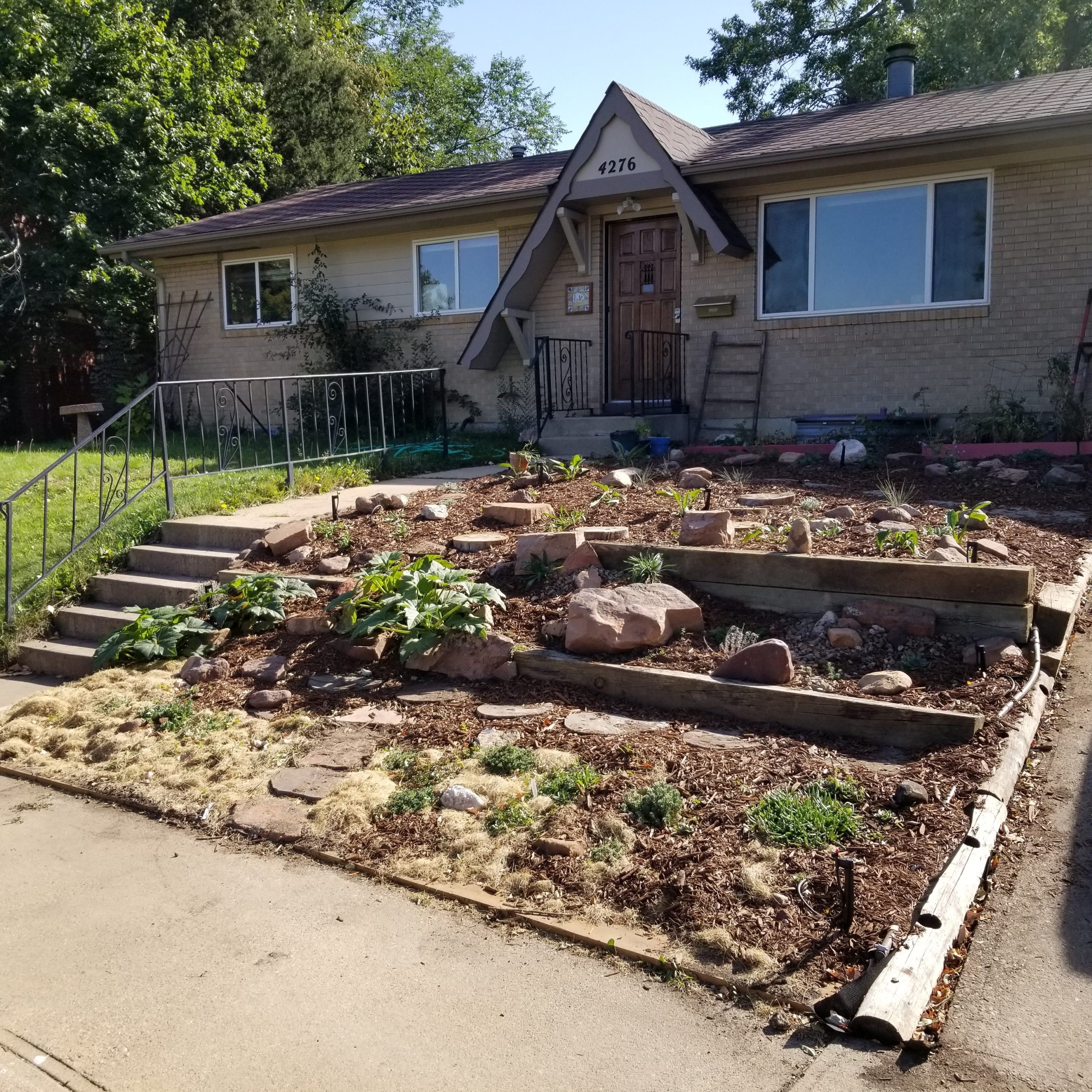 Tiered garden in front yard with mulch, flowers, and rocks