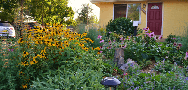 Flowering garden